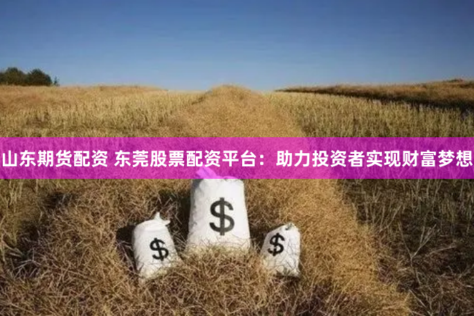 山東期貨配資 東莞股票配資平臺：助力投資者實現財富夢想