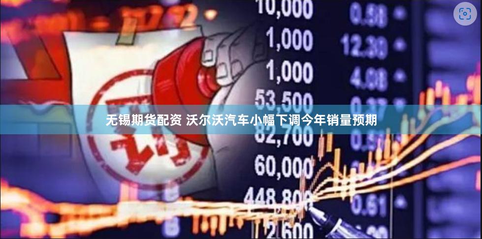 無錫期貨配資 沃爾沃汽車小幅下調今年銷量預期